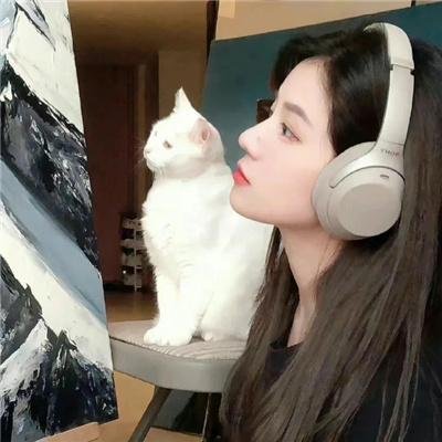 城迷